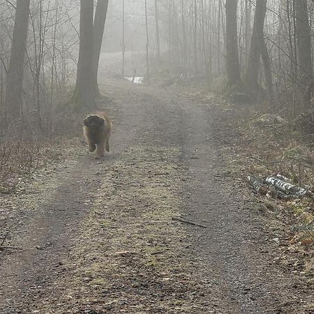 Tofvehults Boende Skaftet Dış mekan fotoğraf